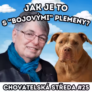 🐶 Jak je to s "BOJOVÝMI" plemeny? 🐶 | Chovatelská středa #25