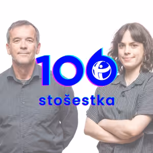 Ľuboš Kostelanský a Lidia Marchenko: Transparentnost evropských kampaní v Česku a na Slovensku. Jak atentát na Fica ovlivnil volby?