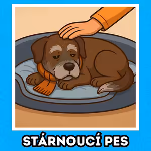 🐶 Prevence u STÁRNOUCÍHO PSA 🐶 | Chovatelská středa #34