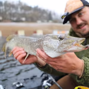 Základní principy k ulovení štiky