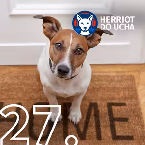 #27 Jak se dorozumět se svým psem: od vrtění ocasu po vrčení - MVDr. Tomáš Nushart