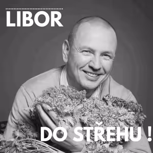 Správná výživa sportovce, jak začít a co je důležité - Libor Vítek