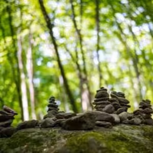 Tělo jako celek - Tchaj-ťi a zdraví