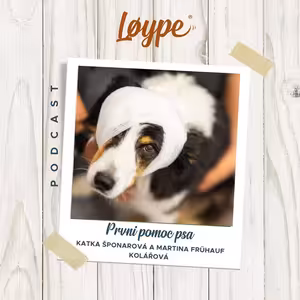 132 | První pomoc psa | Katka Šponarová a Martina Frühauf Kolářová