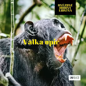 Brutální válka šimpanzů a Pán much ukazují, že zlo je v člověku pevně ukotvené