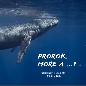 Prorok, moře a ...?