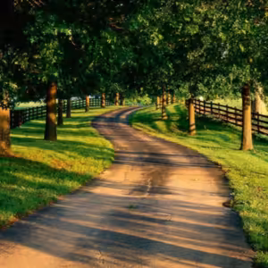 Dopoludnie na Infovojne s Adrianom 24.6.2025