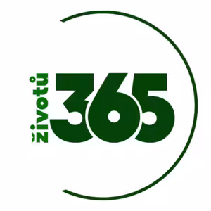 Intuice: Jak nám pomáhá při rozhodování nebo s kreativitou? | Radka Loja