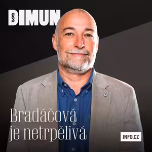 Prezident Unie žalobců Tomáš Foldyna: Bradáčová je netrpělivá