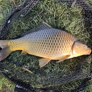 Ze studia o tom, co u vody 8. díl