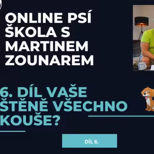 #6 Stěně všechno kouše