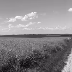 Jaromír Novotný: Přespolní dojmy