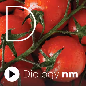 Bezpečnosť potravín v lete: Nechať ich v aute a ísť do iných obchodov nie je dobrý nápad