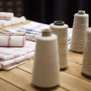 Zátiší 28/7/2021: Tomáš Rohal