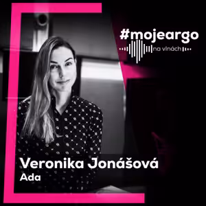 Historie, která měla zmizet v propadlišti dějin. Odsunuté Němce nikdo nevítal, říká Veronika Jonášová