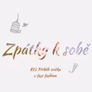 #13 Příběh trička - fast fashion