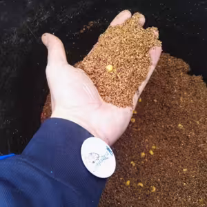 Rozbor feederového krmení pro podzimní a zimní rybolov