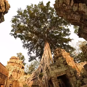 Ešus (3.8.2020) [Topi a cesta jihovýchodní Asií]