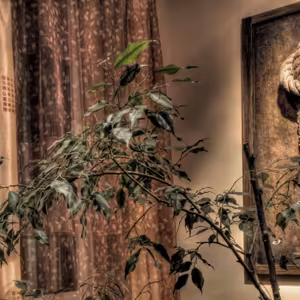 Ketamin Na Plícním