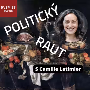 Lobbistka za práva lidí s mentálním postižením: Zorganizovat demonstraci? Jsme v Česku, tady to moc nefunguje.