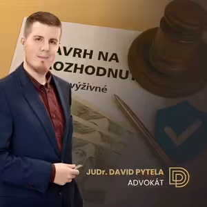 60: Neplatí alimenty? Zapřáhněte exekutora!