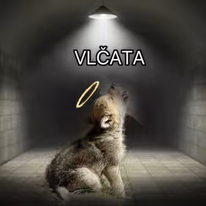 KUŘIMSKÁ SEKTA: Vlčata