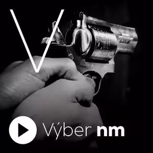 Dohodli sa. Americkí senátori dosiahli kompromis pri návrhu na zbraňové opatrenia