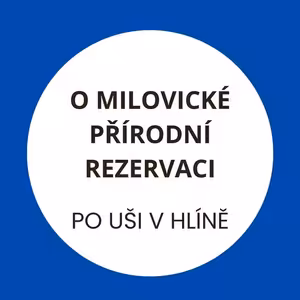 Zubři, divocí koně a pratuři, to je život v Milovické rezervaci