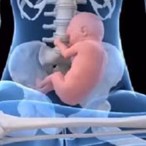 Sám sebe lekárom 6 - 2015-05-12 Ako sa rodia Husákovi vnuci (o slovenskom pôrodníctve)