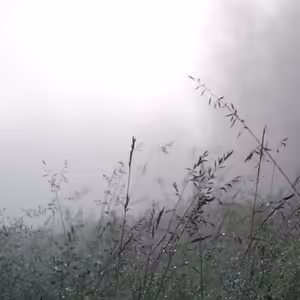 Svätého Juraja, mučeníka