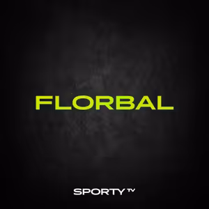 Hodnocení florbalové sezony