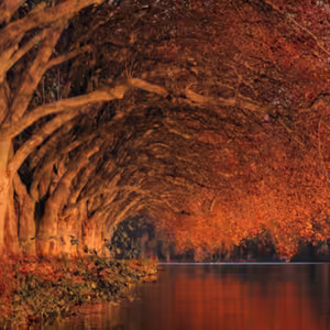 Dopoludnie na Infovojne s Adrianom 13.12.2022