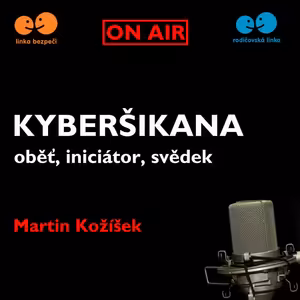 Kyberšikana - oběť, iniciátor, svědek
