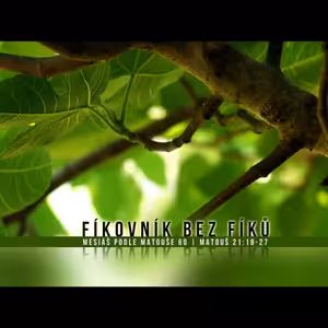 Mesiáš podle Matouše 60 - Fíkovník bez fíků - Bohuslav Wojnar (25.5.2014)