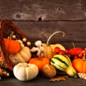 HOROSKOPY: Lvi, touha po partnerské harmonii bude velmi silná, ale ne vždy dosažitelná