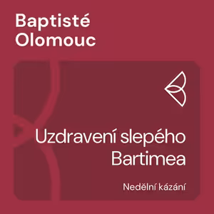 Uzdravení slepého Bartimea (21.3.2021)