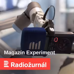 Jako návnada na medvěda. Falešné zabezpečení může odradit hackery stejně účinně jako důmyslný systém