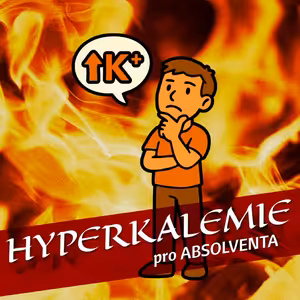 Hyperkalemie pro absolventa
