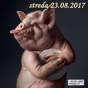 Verejné tajomstvá 125 - 2017-08-23 Zdravá strava 33/2017