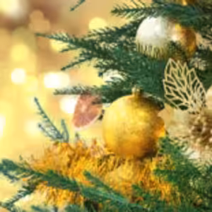 HOROSKOPY: Lvi, nemyslete pouze na sebe, najděte si čas na láskyplné objetí a komunikujte