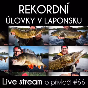 Přívlač live #66 - Na rybách za polárním kruhem aneb rekordní úlovky v laponsku