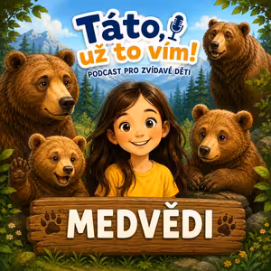 Medvědi