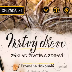 #21 Stromy a mrtvé dřevo – život po životě