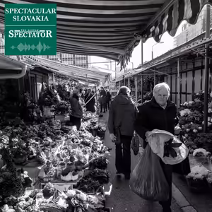 Tour de Miletička: A former abattoir became Bratislava’s famous open-air market