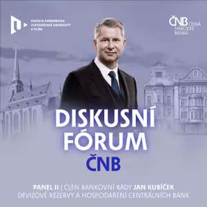 Devizové rezervy a hospodaření centrálních bank | Diskusní fórum ČNB v Plzni
