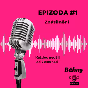 #1 Znásilnění