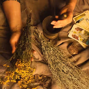 Duchovní Léčitel Jako Povolání - Prof. JUDr. Ivo Telec, CSc.