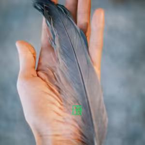 Rituál, tarot & šalvia - nová spiritualita v súčasnom umení