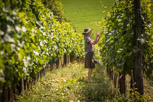 Ekofarmáři: Haló, my jsme tu taky