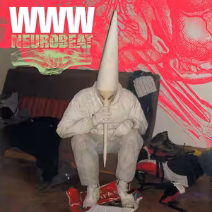 50 nejlepších českých alb historie podle Expres FM: 38 WWW - Neurobeat